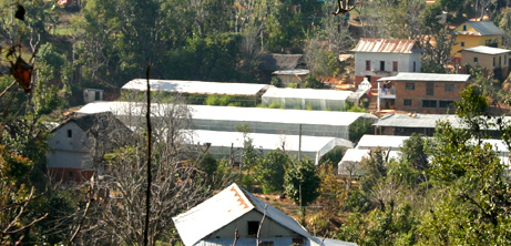 Madan Pokhara
